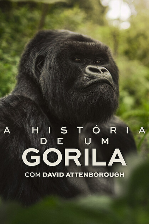 A História de Um Gorila com David Attenborough (2026)